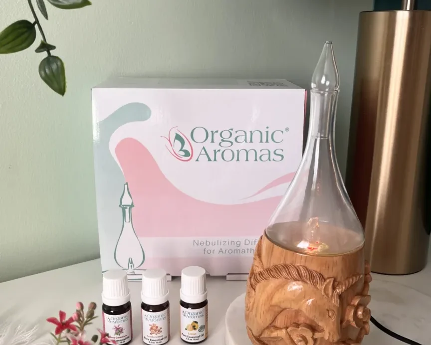 6 Reasons To Invest in a Nebulizing Diffuser This Year
