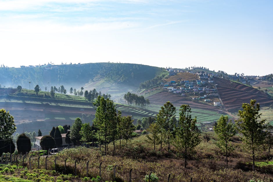 A picturesque landscape of Ooty's terraced hills and rural villages under a clear sky.