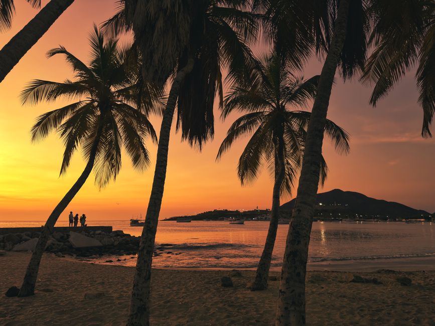 Serene tropical beach at sunset with palm trees and silhouettes of people walking by the shore.