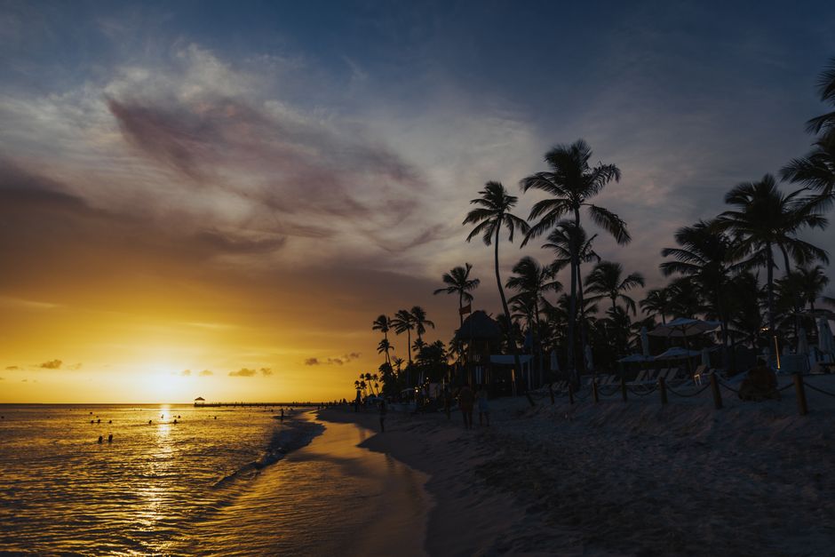Golden sunset over a tropical beach with palm trees and calm waters, perfect for a tranquil escape.