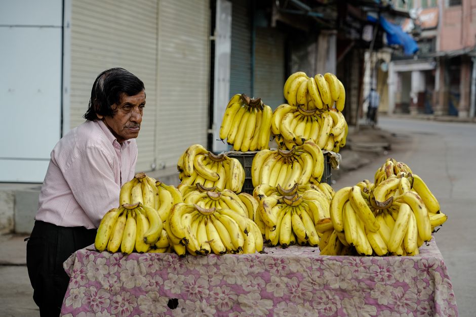 Man selling bananas at a street market in Indore. Yellow bananas on display.
