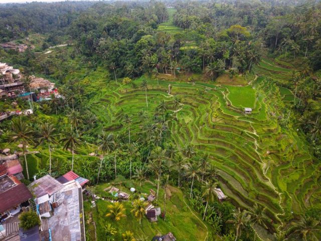 Bali Vs Phuket First-Time Solo Travelers: Mastering the Art of Home Espresso: A Comprehensive Guide