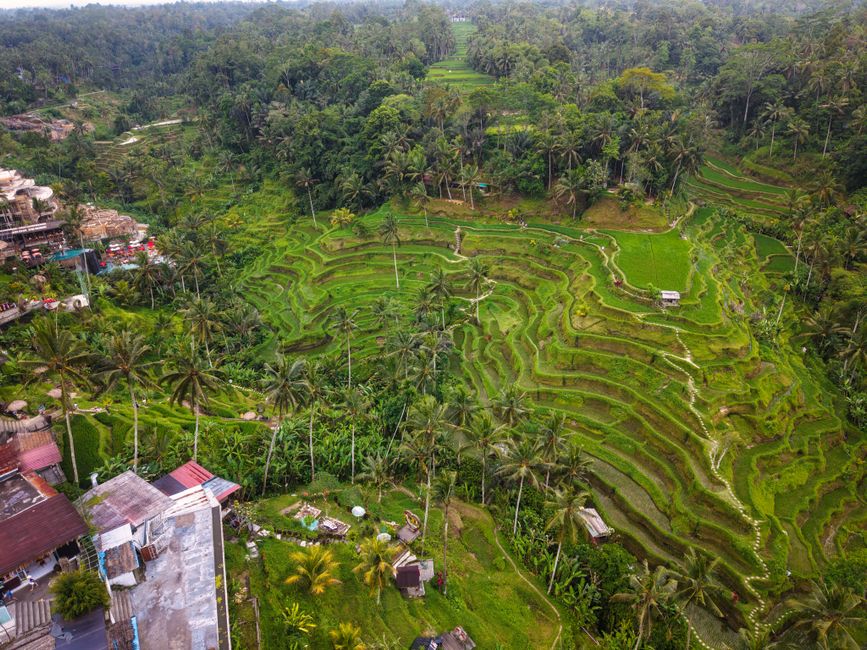 Bali Vs Phuket First-Time Solo Travelers: Mastering the Art of Home Espresso: A Comprehensive Guide