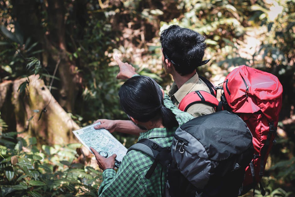 From above back view of anonymous hikers exploring green forest and checking direction on map