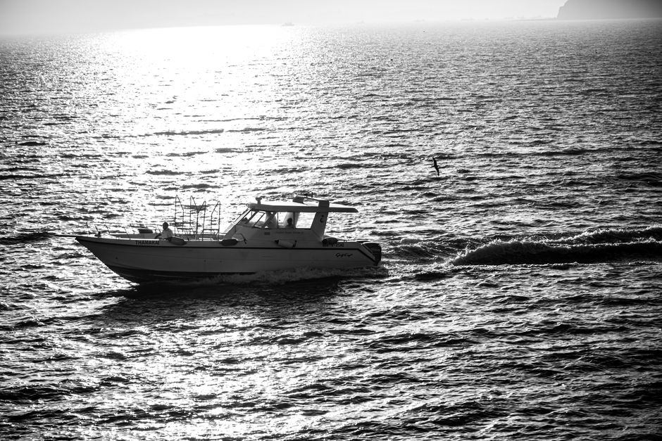 A black and white photo of a boat sailing on the open sea, with a seagull flying nearby.