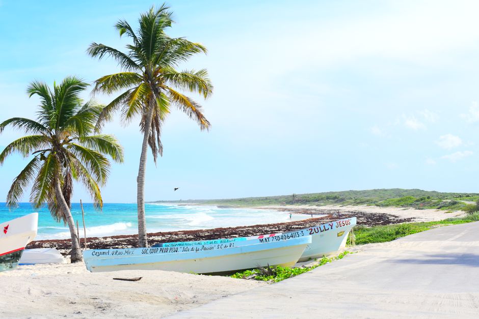 Scenic tropical beach with palm trees and boats on a sunny day, ideal for travel and vacation imagery.
