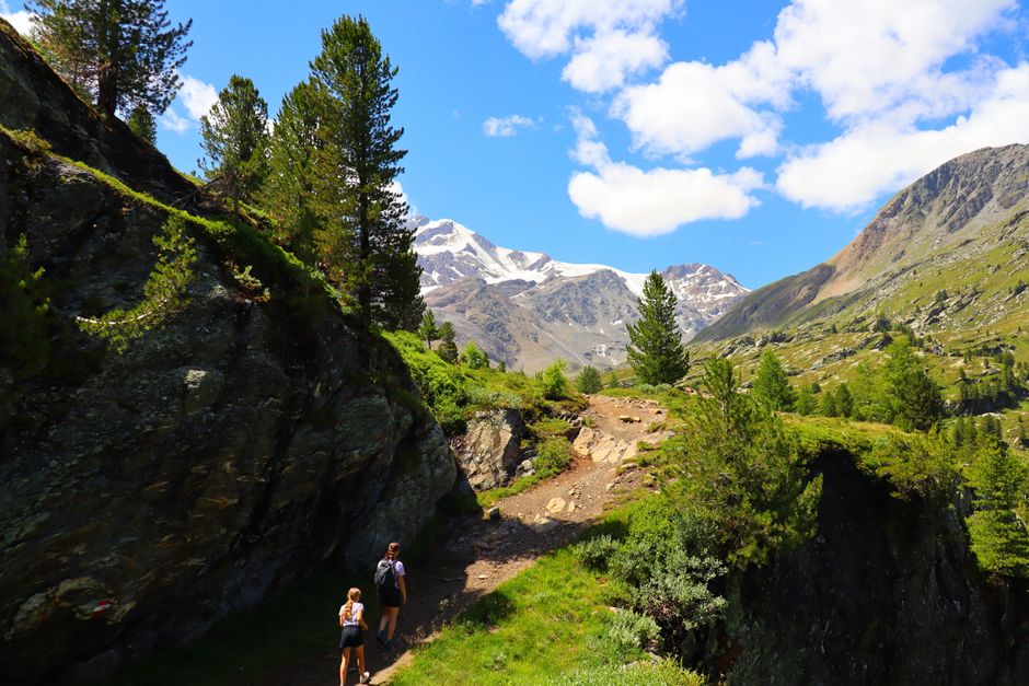 Scenic mountain trail with hikers, lush greenery, and a vibrant landscape under a clear blue sky.