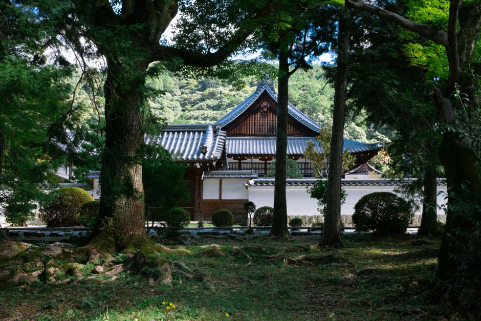 A serene view of a traditional Japanese temple nestled in a lush forest in Kyoto, Japan.