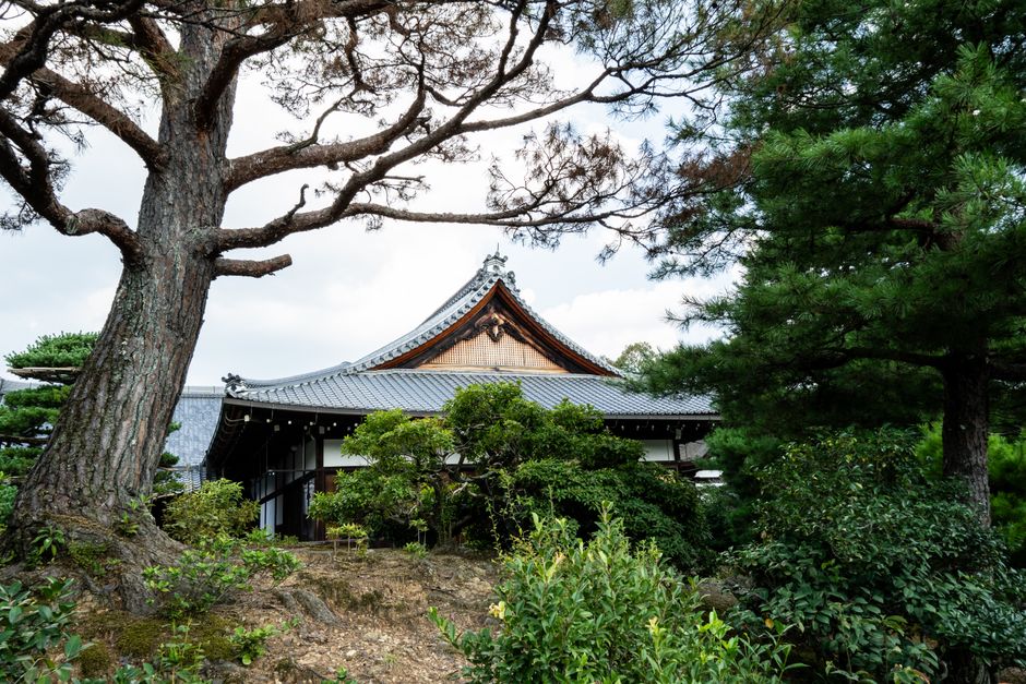 Serene view of a historic Japanese temple surrounded by lush greenery in Kyoto, Japan.