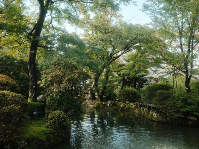 Beyond the Tourist Trail: A 5-Day Kyoto Hidden Gems Itinerary