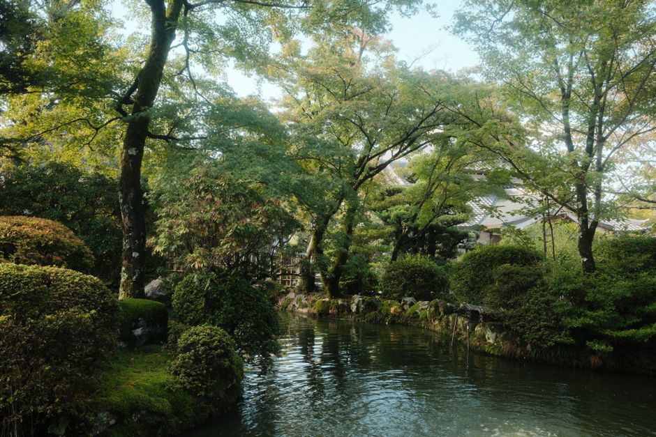 Beyond the Tourist Trail: A 5-Day Kyoto Hidden Gems Itinerary