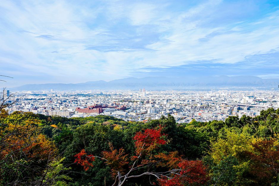 A breathtaking view of Kyoto's skyline surrounded by vibrant autumn foliage, as seen from Fushimi Inari Shrine.