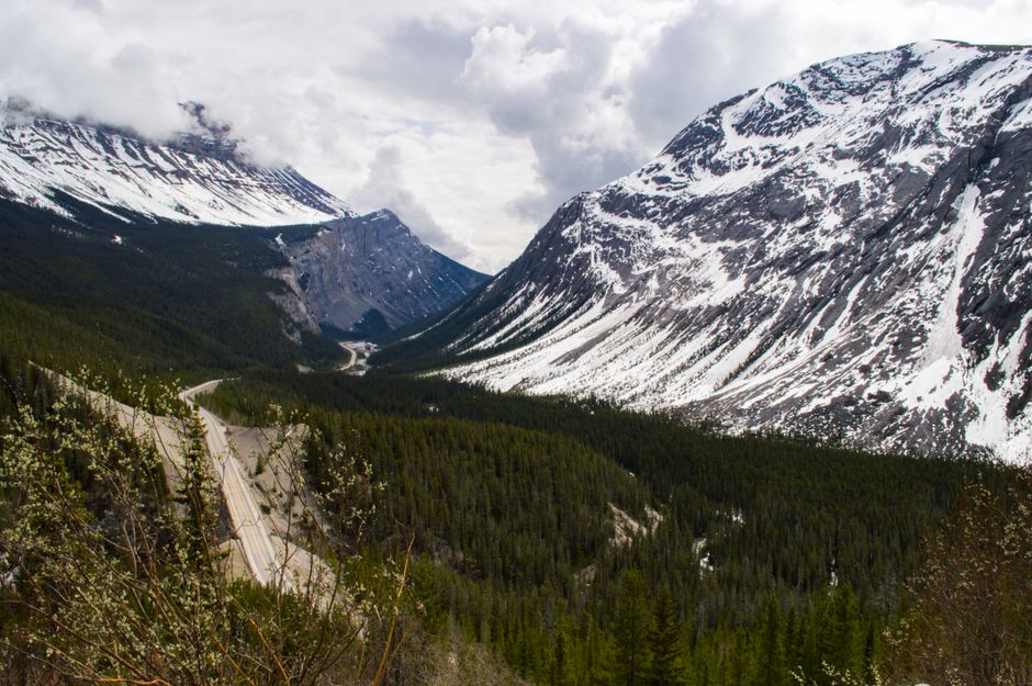 Scenic view of snow-covered Rocky Mountains along the Icefields Parkway.
