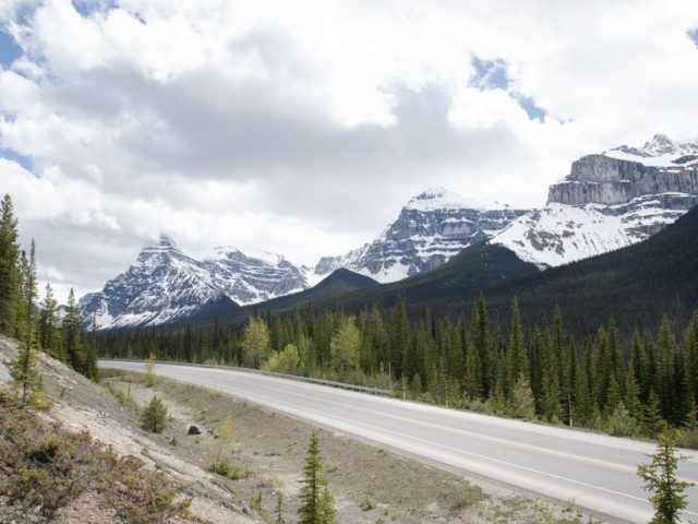 National Park Road Trip With Young Kids: National Park Road Trips with Young Kids: 2026 Verdict