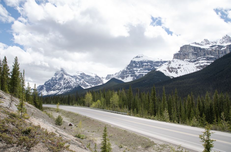 National Park Road Trip With Young Kids: National Park Road Trips with Young Kids: 2026 Verdict