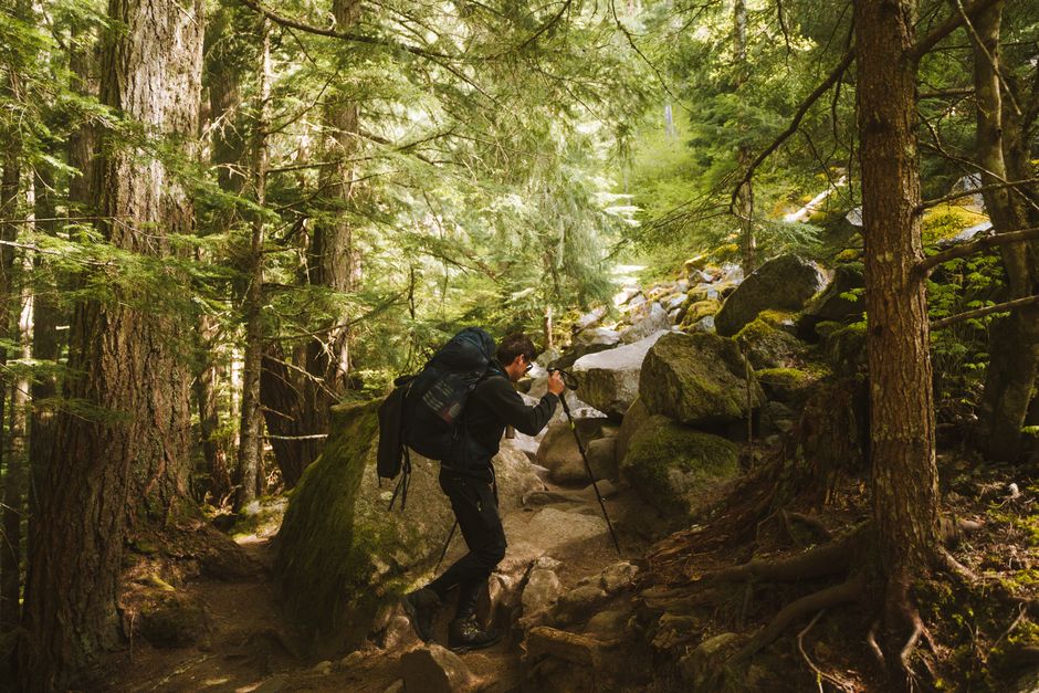 A hiker navigates a forest trail surrounded by lush greenery and rocks.