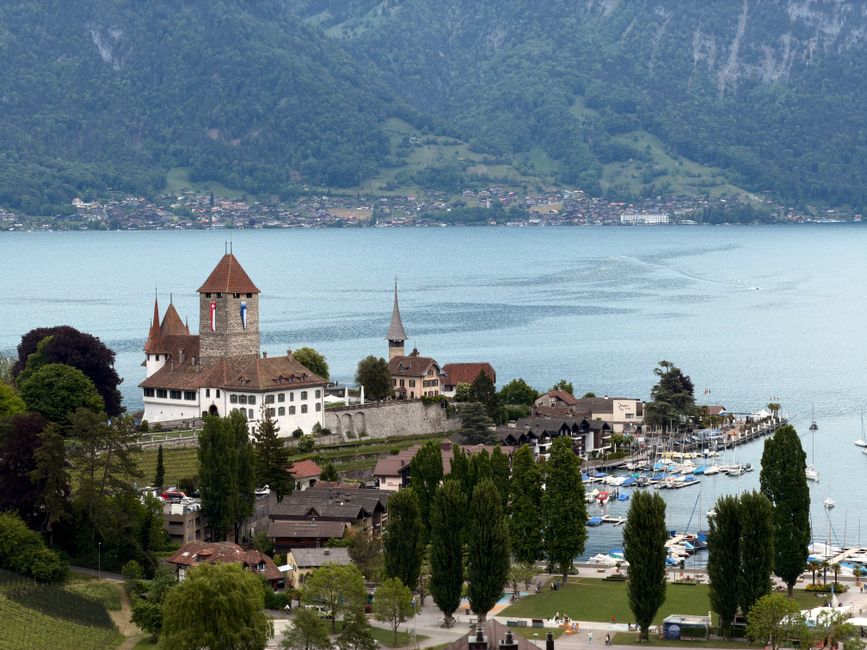 Scenic view of Spiez Castle with Lake Thun and the Swiss Alps in the background.