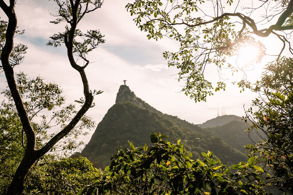 Scenic view of Christ the Redeemer statue framed by trees in Rio de Janeiro.